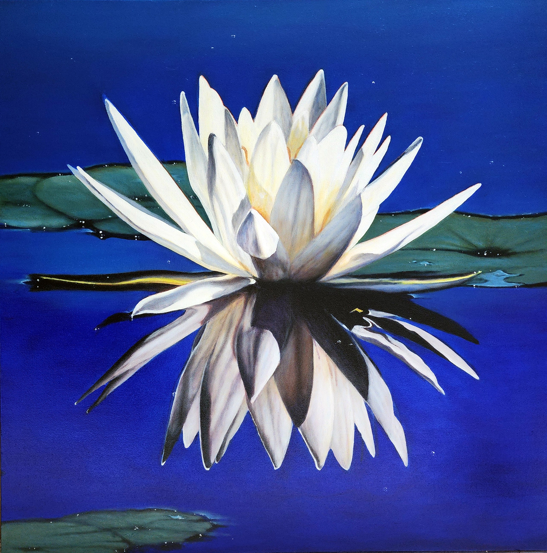 Stillwater Stillwater